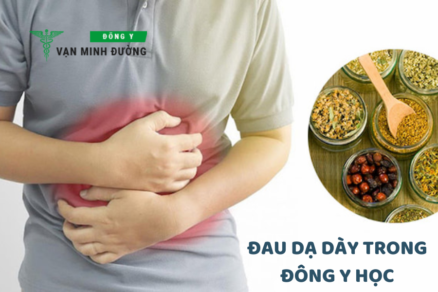 Đau dạ dày trong Đông y học