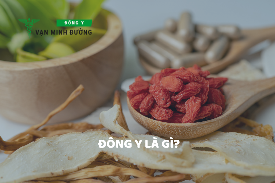 Đông y là gì