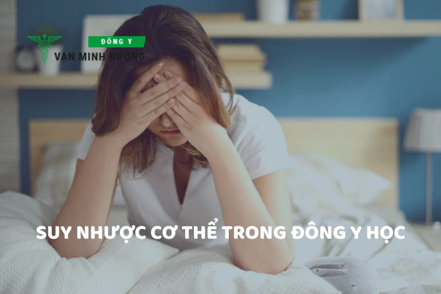 Suy nhược cơ thể trong Đông y học