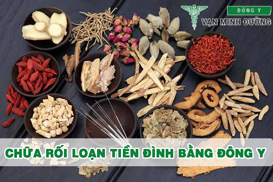 Chữa rối loạn tiền đình bằng đông y