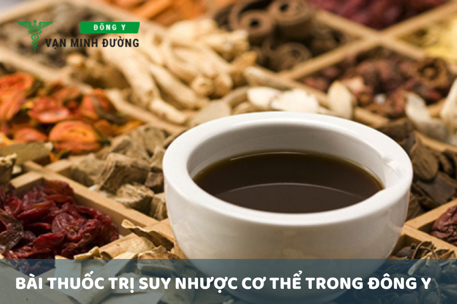 Bài thuốc trị suy nhược cơ thể trong Đông y