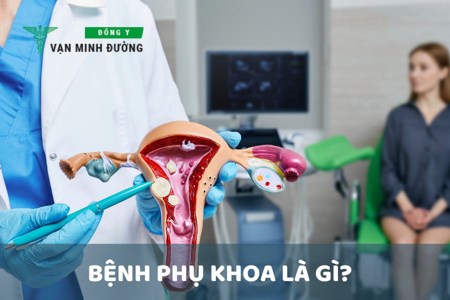 Bệnh phụ khoa là gì?