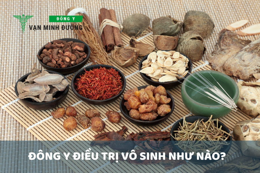 Đông y điều trị vô sinh như nào