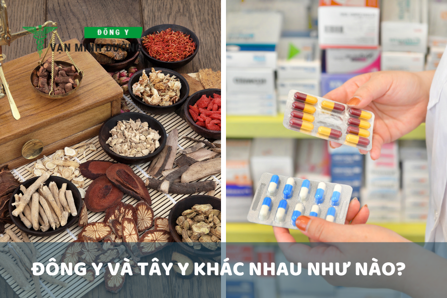 Đông y và Tây y khác nhau như nào