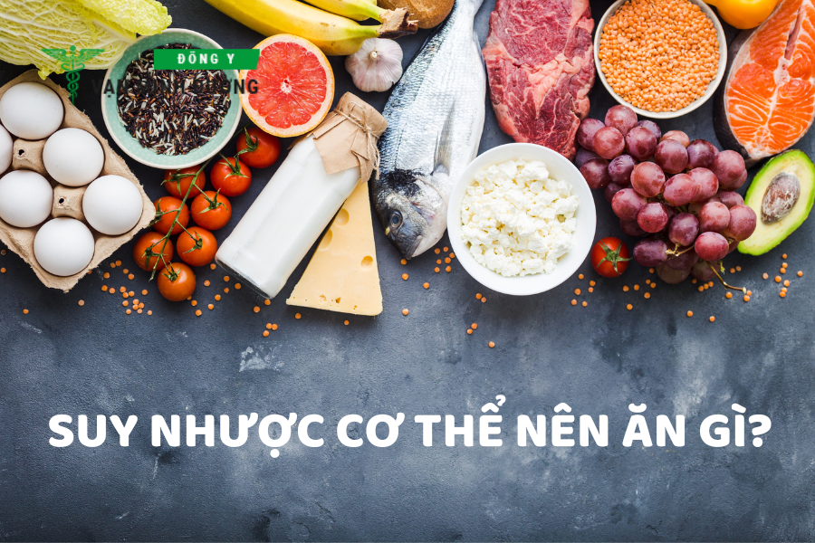 Suy nhược cơ thể nên ăn gì