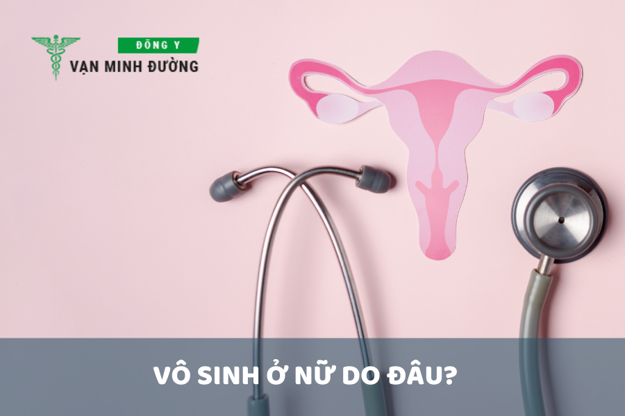 Vô sinh ở nữ do đâu?