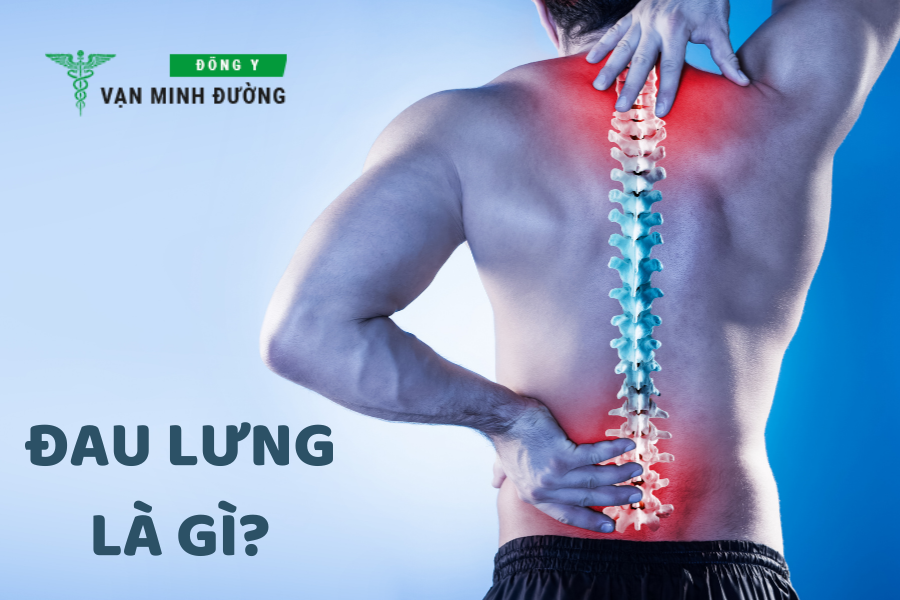 Đau lưng là gì?