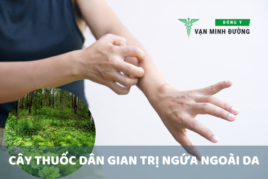 Trị ngứa ngoài da bằng cây thuốc dân gian